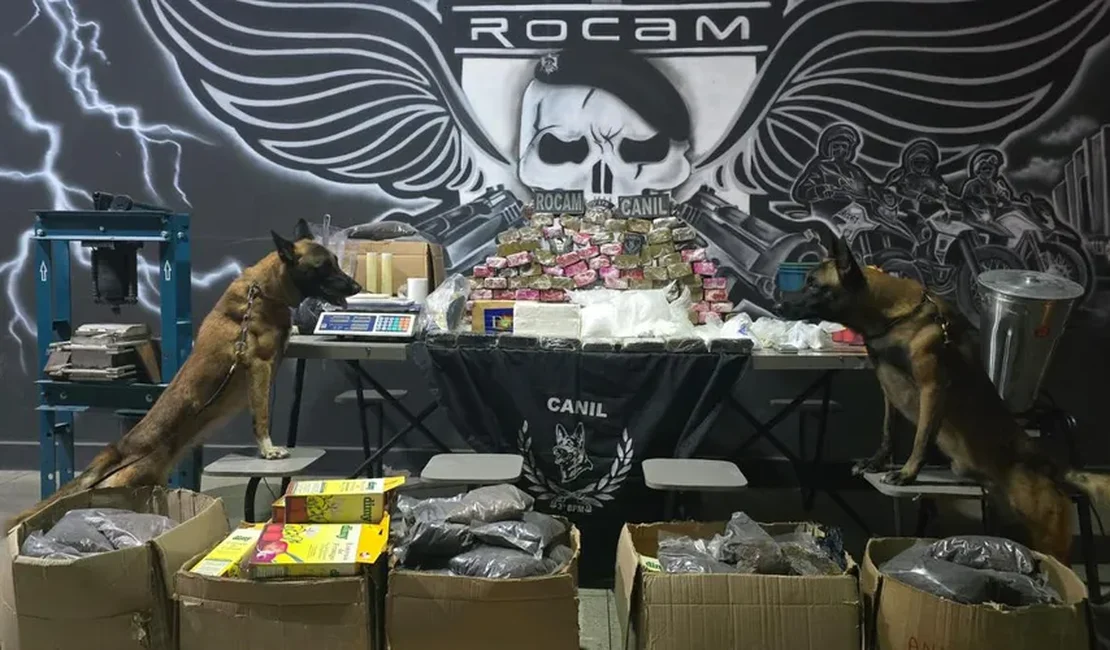 Casa abandonada usada como depósito de drogas é descoberta com mais de 50kg de entorpecentes