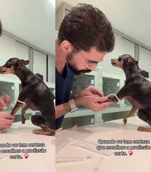 [Vídeo] Veterinário viraliza ao cuidar de Pinscher e mostra que o amor é o melhor remédio
