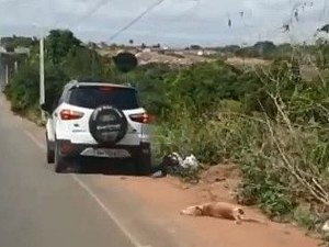 [Vídeo] Crueldade:  Cachorro é amarrado em veículo e arrastado  por rodovia, em Arapiraca