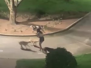 Jovem é cercada por cães no meio da rua em Arapiraca; vídeo registra momento