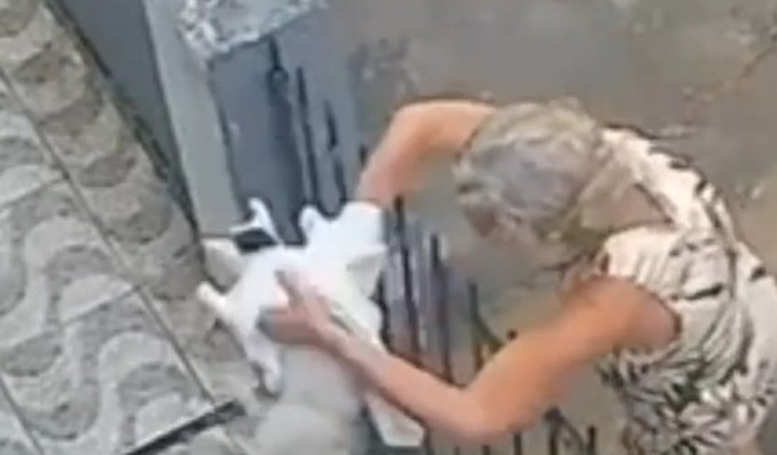 [Vídeo] Mulher arremessa gato pelo portão de casa no Vergel e vira procurada por abandono animal
