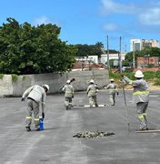 Prefeitura inicia instalação de rede elétrica e iluminação no Novo Mercado da Produção