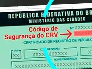 Detran: saiba como encontrar o código de segurança para obter o CRLV do veículo