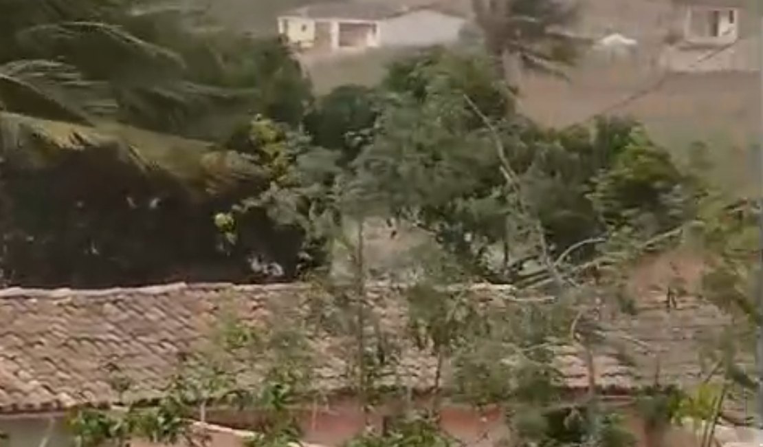 Chuvas com fortes ventos são registradas na zona rural de Limoeiro de Anadia