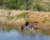 Carro capota e cai dentro de barragem em Lagoa da Canoa