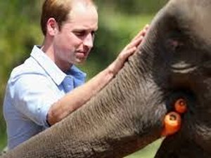 Príncipe William critica corrida espacial: 'Tinham que consertar a Terra'