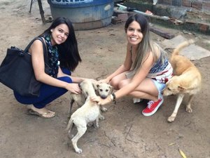 Estudantes montam perfil no Facebook para ajudar animais em Arapiraca