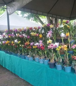 Exposição de orquídeas e bromélias acontece em Maceió