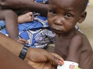 Nobel da Paz de 2020 vai para programa da ONU de combate à fome