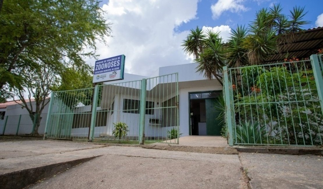 Unidade de Zoonoses de Maceió passa receber demandas via WhatsApp