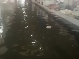 Mercado da Produção amanhece inundado nesta quarta (25)