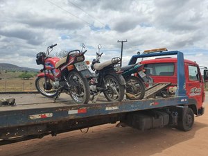 Polícia apreende 10 veículos irregulares durante blitz na AL-115