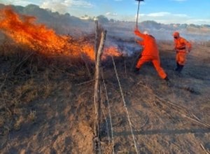 Alagoas registra queda de 7% nas ocorrências de incêndios em vegetação em 2024