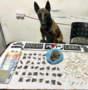 Traficante é preso no Alto do Cruzeiro com a ajuda de cão farejador