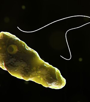 Caso raro de ameba que destrói cérebro é confirmado na Flórida