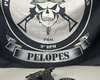 Pelopes apreende arma de fogo e carregadores em imóvel às margens da AL-220