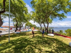 Maceió está entre as 51 cidades do Brasil com certificação “Cidades Árvores do Mundo”