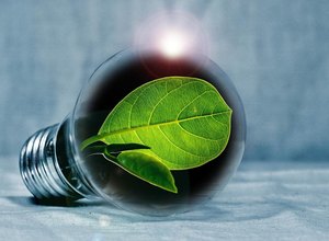 A Eco-Revolução do Brasil: 2024 marcará o início de uma era verde?