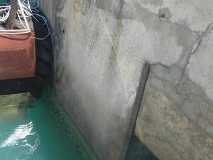 IMA instala placas de monitoramento do coral-sol em Maceió