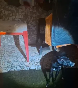 Homem é preso após cachorro ser encontrado com focinho amarrado em Maceió