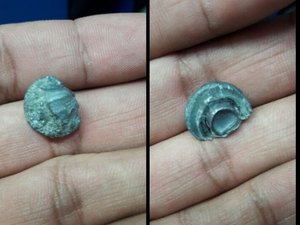 Mulher tenta fugir de assalto e criminosos atiram contra ela