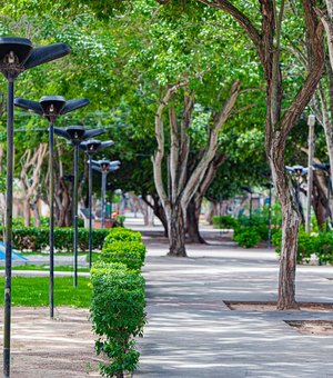 Inscrições abertas: Arapiraca sedia o XI Encontro Nordestino de Arborização Urbana em julho