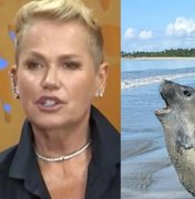 Xuxa cobra justiça após morte brutal do elefante-marinho Leôncio em Alagoas