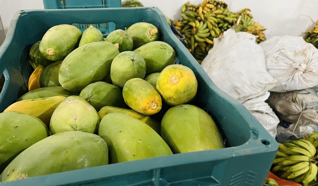 Em menos de 10 dias, 115 toneladas de alimentos foram doadas pelo PAA em Alagoas