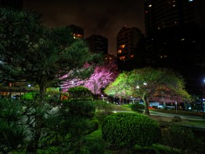Viajar virtualmente para poder curtir Curitiba depois da quarentena