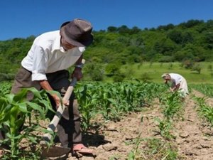 Agricultores de Arapiraca e região vão receber kits para irrigação