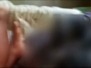 Alagoana é presa em Pernambuco após agredir e abandonar filhos de 6 anos e 9 meses