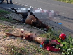 Jovem morre em acidente na AL-220 após colisão com animal solto na pista