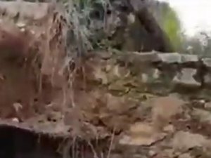 [Vídeo]  Léo Saturnino cobra recuperação de ponte que ameaça desabar na zona rural de Arapiraca