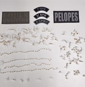 Polícia cumpre mandado de busca e apreensão em Olho d’Água das Flores