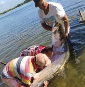 Pescadores fisgam peixe raro de 80kg no Povoado Saúde