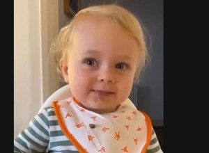 [Vídeo] Não vê TV nem celular': a menina de 2 anos que fala palavras difíceis