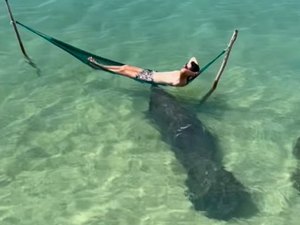 Vídeo de peixe-boi que 'cutuca' influencer na Praia de Lages viraliza na internet