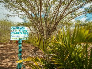 Prefeitura de Arapiraca alerta sobre queimadas e descarte irregular de lixo