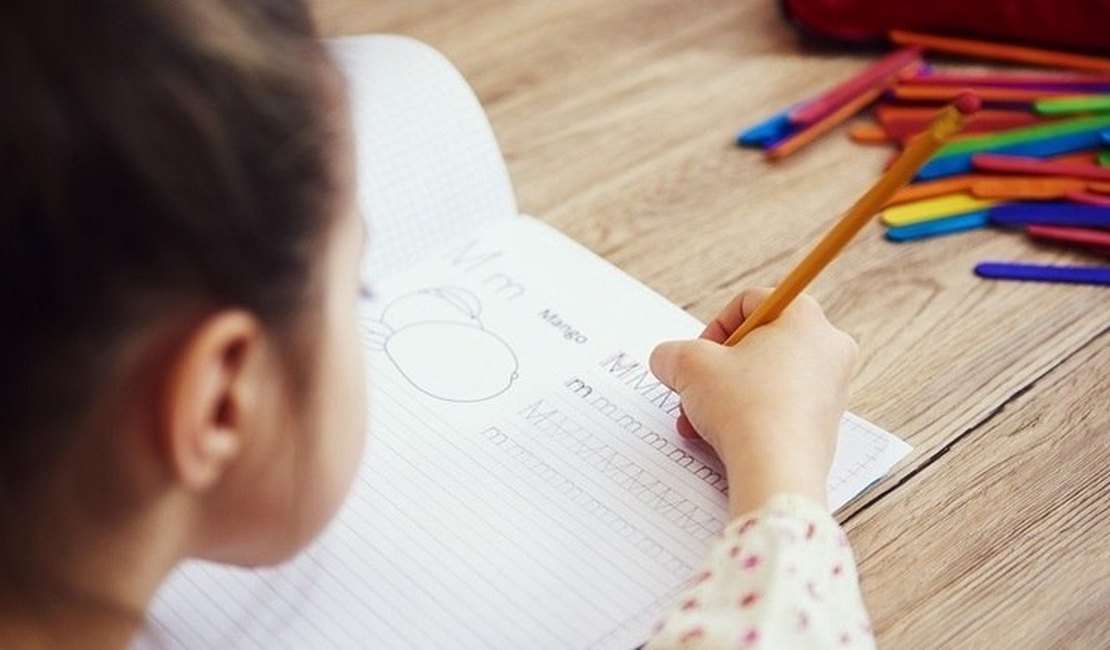 Projeto de lei que permite educação básica em casa, gera polêmica na Câmara