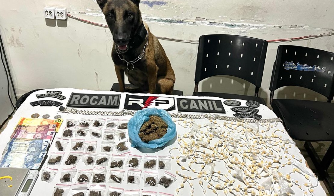 Traficante é preso no Alto do Cruzeiro com a ajuda de cão farejador