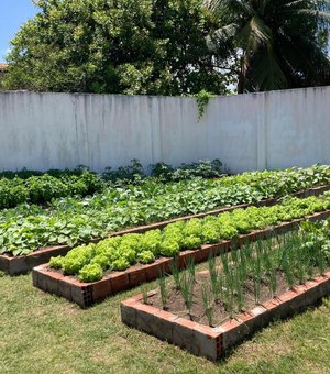 Governo de Alagoas entrega nova horta urbana no Residencial Graciliano Ramos