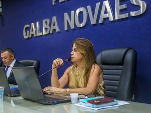 Câmara debate reinserção no mercado de trabalho e segurança nos bairros