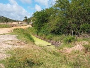 MPF apura movimento de terra em manguezal de Maragogi