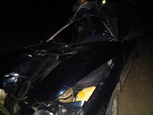 Carro colide em animal na AL 225, no município de Piranhas