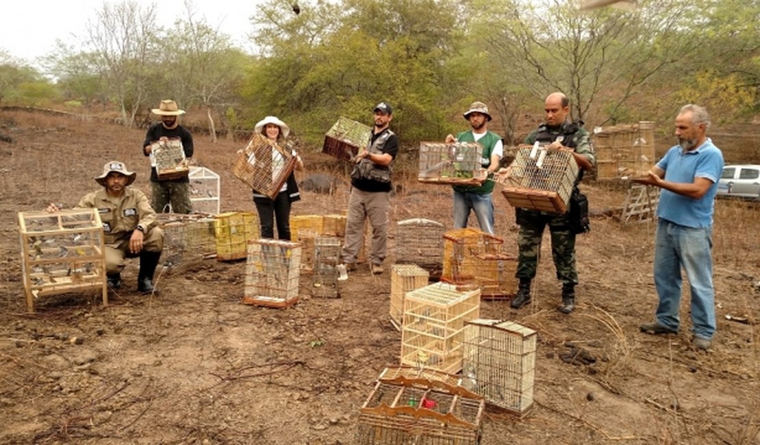 FPI do São Francisco: 200 animais são libertados são autuadas e Prefeitura é multada
