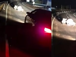 Motociclista fica ferido após queda na AL-115, em Palmeira dos Índios