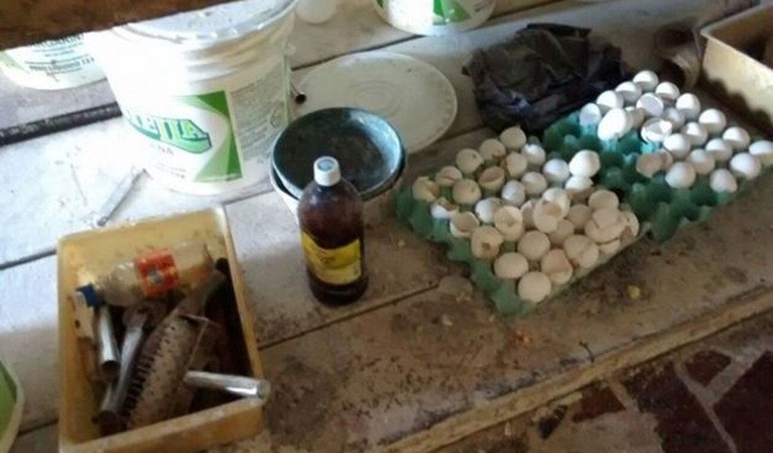 Fábrica de bolachas é interditada pela Vigilância Sanitária em Maceió