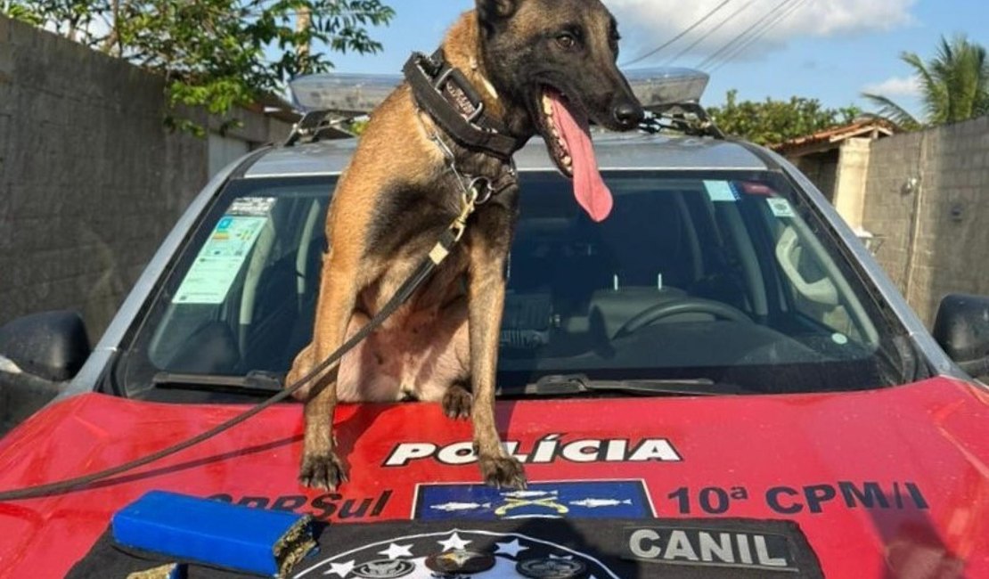 PM cumpre mandado judicial e efetua prisões por tráfico de drogas no Litoral Sul