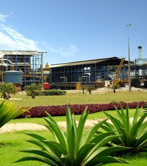 Usina de Alagoas tem vagas de emprego em diversas áreas; confira