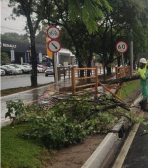 Prefeitura de Maceió realiza ações contra transtornos em decorrência das fortes chuvas